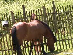 Awesome couple fuck outdoors as they rest after an adventurous horse ride