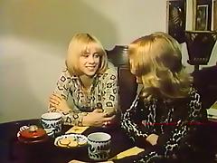 1976 jennifer welles  of a junior american house wife