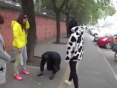 The slave was ridden outdoor and kneel down on the road while slapped