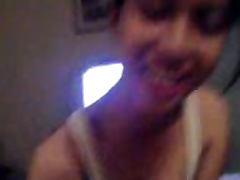Anis