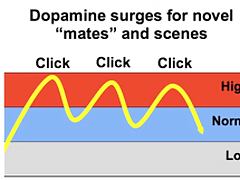 great porn experiment